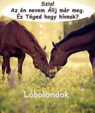 Nekem ismerős, Állj már meg!!! :) :) :) :)