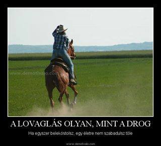 Olyan mindt a drog :) :) :)